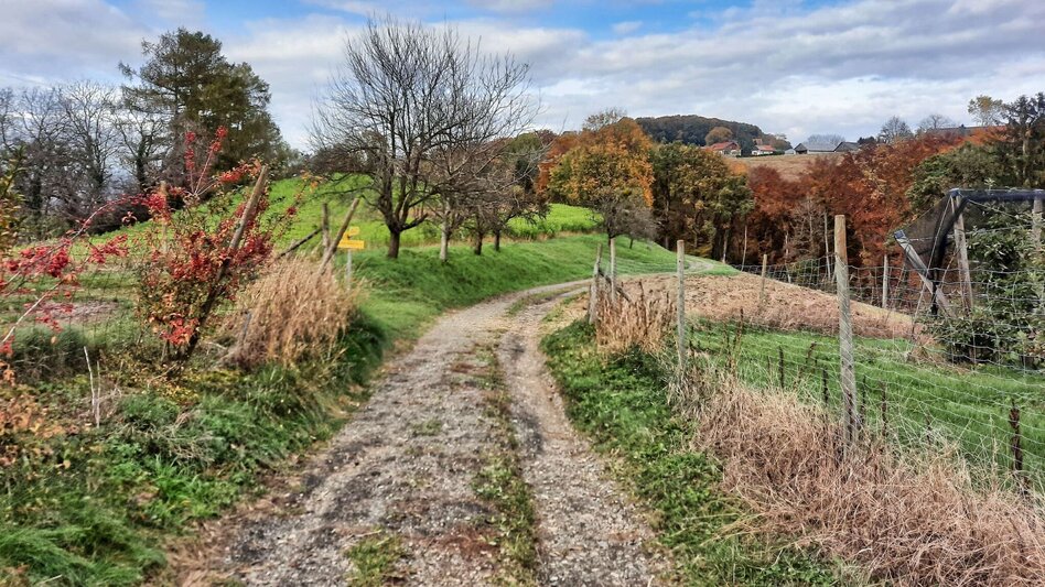 Theme path Kaskögerl track (Kaskögerlweg) - Poppendorf/Gnas - Touren-Impression #2.2 | © Thermen- & Vulkanland