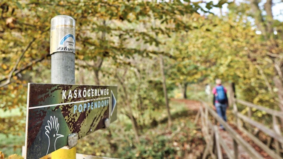 Theme path Kaskögerl track (Kaskögerlweg) - Poppendorf/Gnas - Touren-Impression #2.3 | © Thermen- & Vulkanland