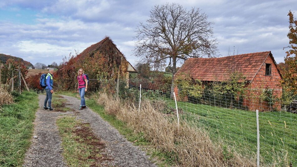 Theme path Kaskögerl track (Kaskögerlweg) - Poppendorf/Gnas - Touren-Impression #2.7 | © Thermen- & Vulkanland