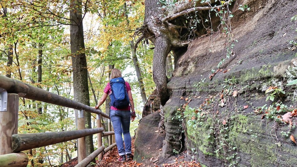 Theme path Kaskögerl track (Kaskögerlweg) - Poppendorf/Gnas - Touren-Impression #2.8 | © Thermen- & Vulkanland