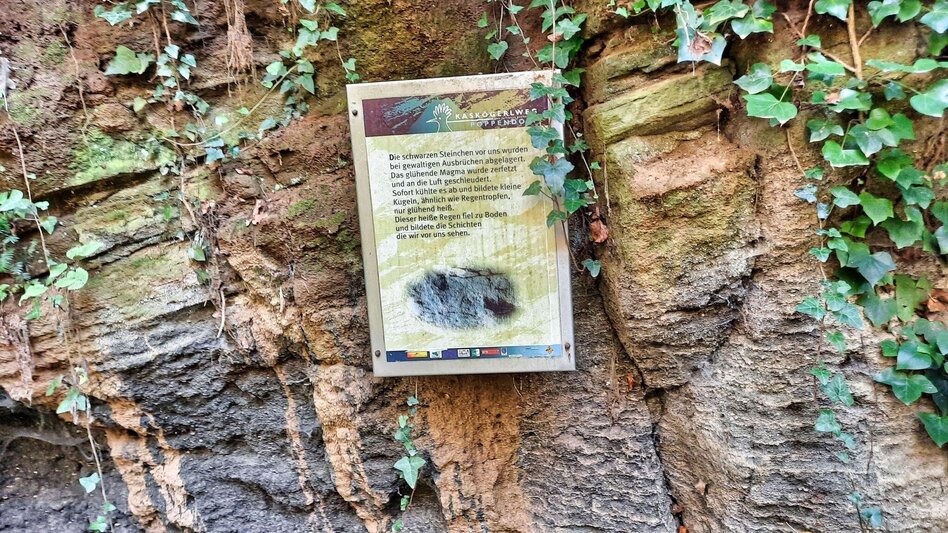 Theme path Kaskögerl track (Kaskögerlweg) - Poppendorf/Gnas - Touren-Impression #2.9 | © Thermen- & Vulkanland