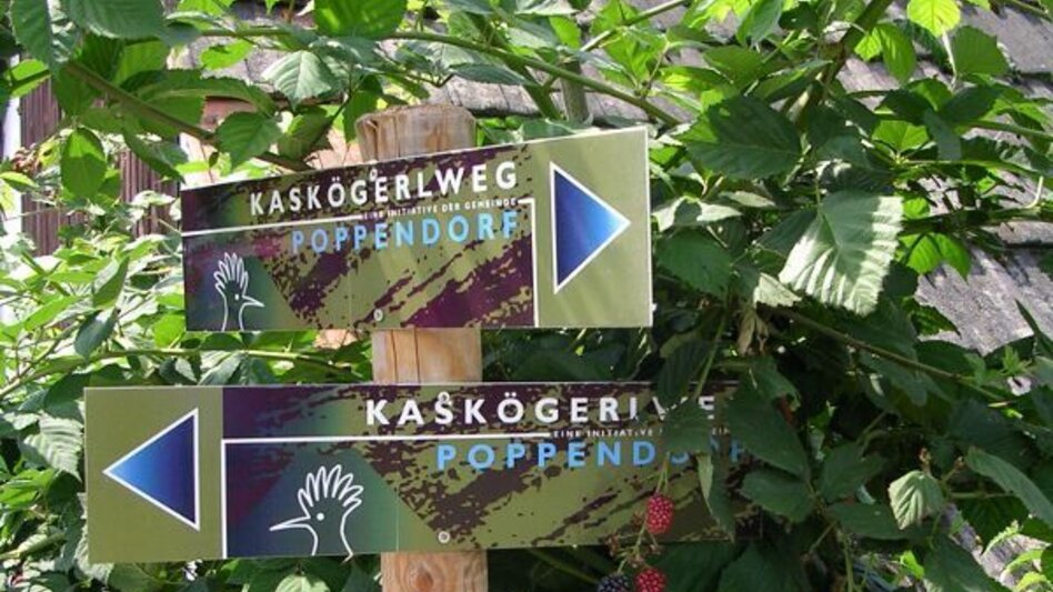 Theme path Kaskögerl track (Kaskögerlweg) - Poppendorf/Gnas - Touren-Impression #2.12 | © TV Thermen- & Vulkanland