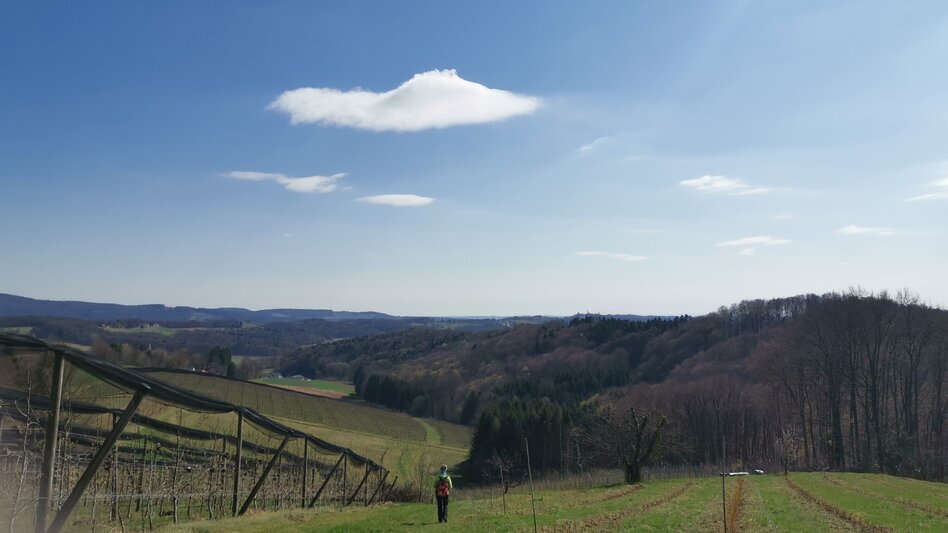 Theme path Kaskögerl track (Kaskögerlweg) - Poppendorf/Gnas - Touren-Impression #2.14 | © Thermen- & Vulkanland