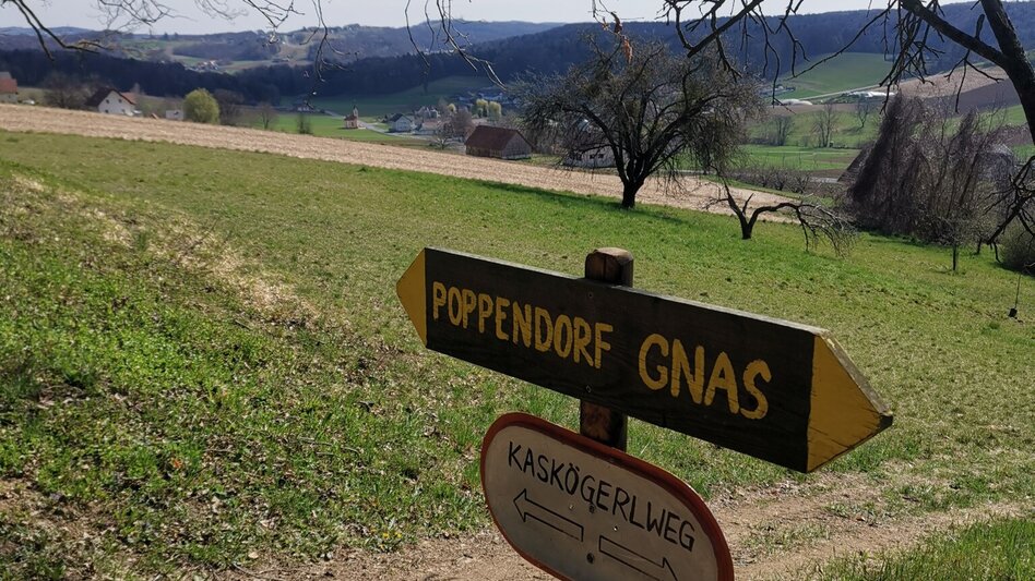 Theme path Kaskögerl track (Kaskögerlweg) - Poppendorf/Gnas - Touren-Impression #2.16 | © Thermen- & Vulkanland