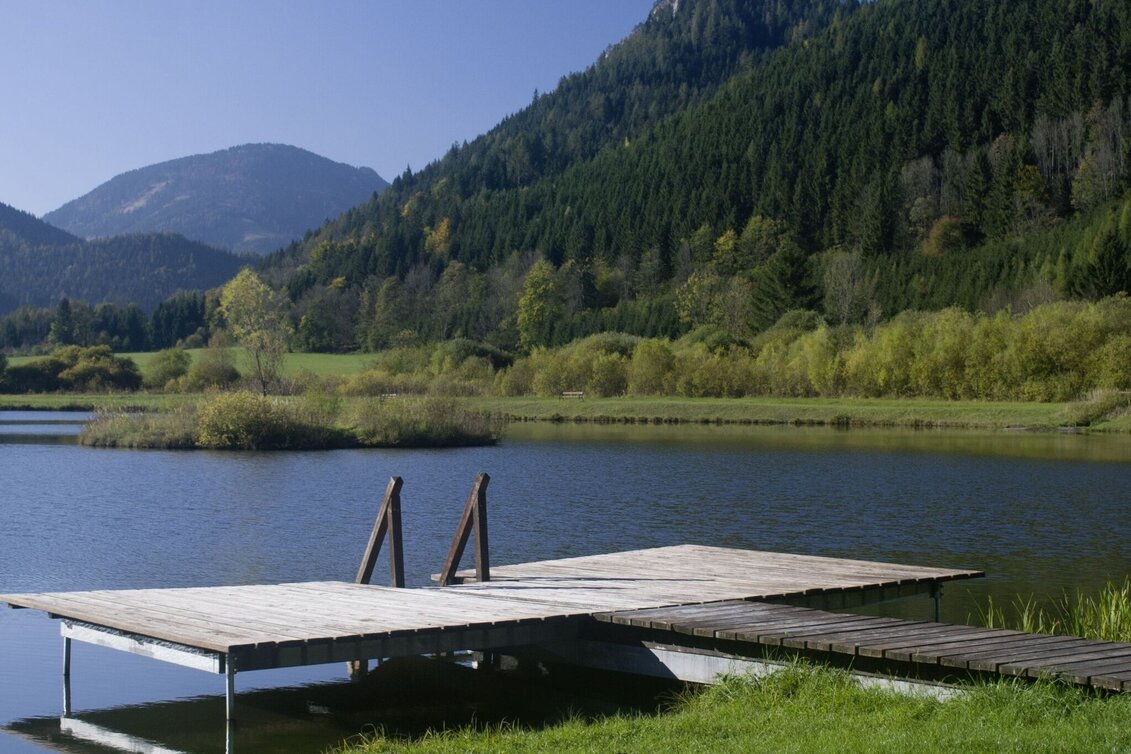Hiking route Circular Tour over the Schneealm in the Mürzer Oberland Nature Park - Touren-Impression #1 | © Naturpark Mürzer Oberland