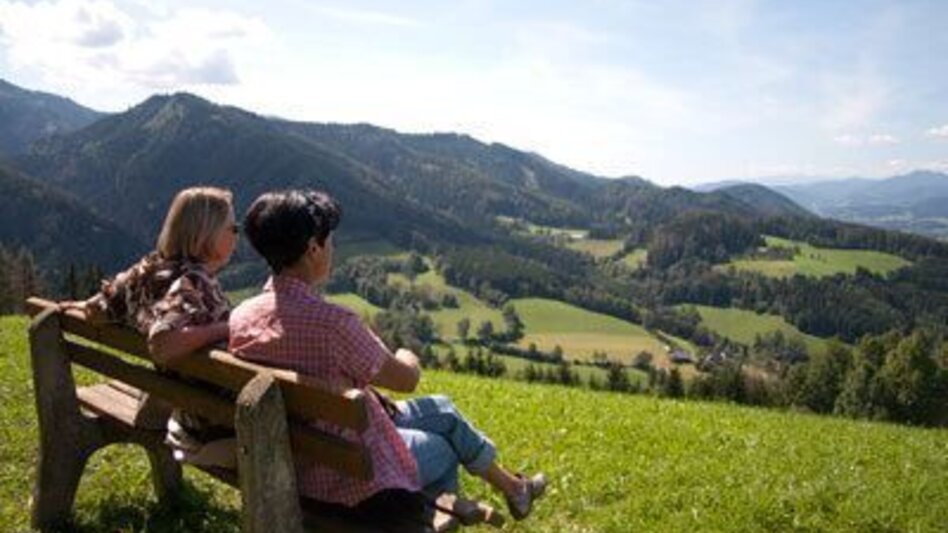 Wanderung 3 Täler-Wanderweg - Touren-Impression #2.6 | © TV Hochsteiermark