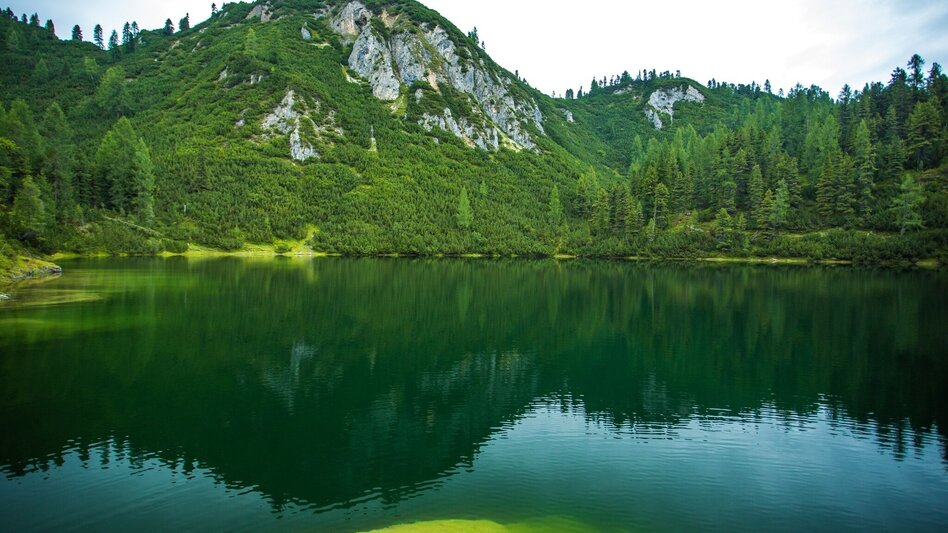 Wasserwege Ahorn- und Grafenbergsee - Touren-Impression #2.5 | © TVB Haus-Aich-Gössenberg