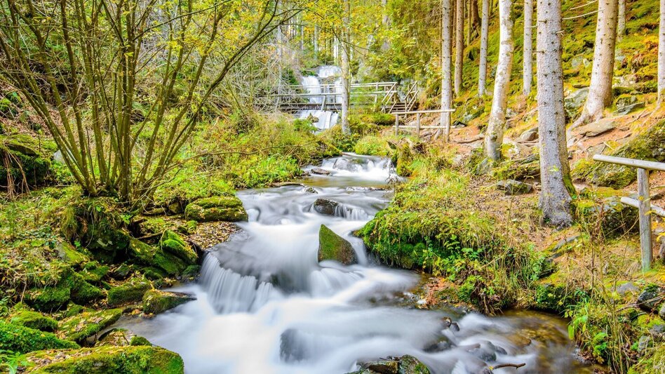 Fernwanderweg Via Natura Etappe 2: Vom Klang zur Stille - Touren-Impression #2.1 | © Tourismusverband Murau