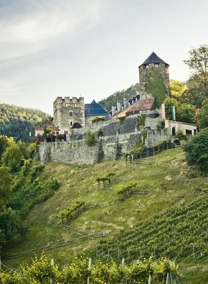 Burg Deutschlandsberg mit Blick auf den Weingarten des Burghügels | © TVB/Südsteiermark/Lupi Spuma | Lupi Spuma | © TVB/Südsteiermark/Lupi Spuma