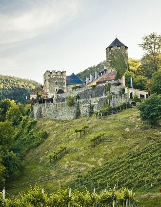 Burg Deutschlandsberg mit Blick auf den Weingarten des Burghügels | Lupi Spuma | © TVB/Südsteiermark/Lupi Spuma