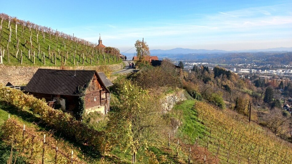 Hiking route Kleiner Oberlaufenegger Rundweg-F1 - Touren-Impression #2.6 | © TV Südsteiermark