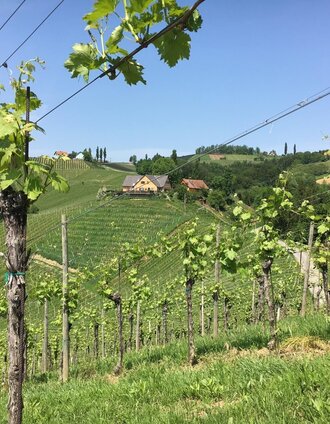Weinbergsidylle | Heribert Hemm | © Community