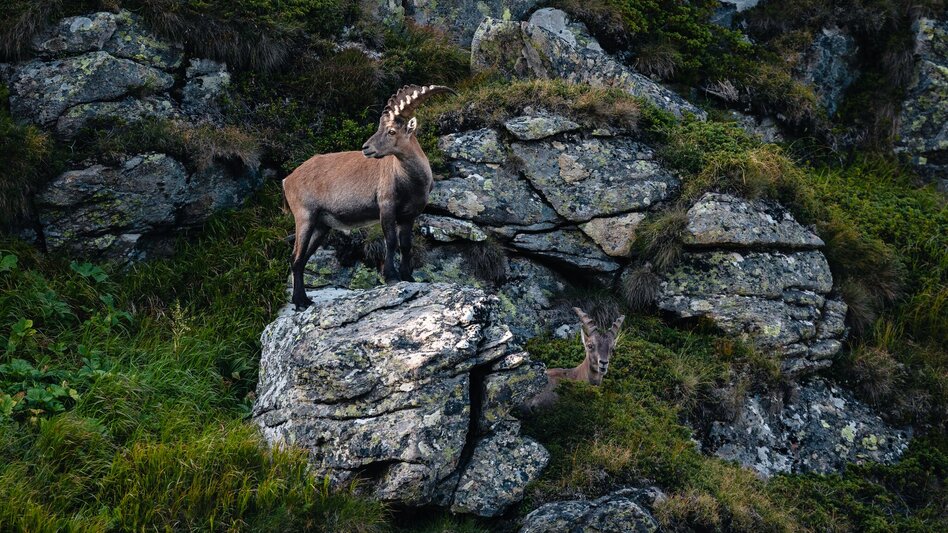 Wanderung Deneck - Touren-Impression #2.3