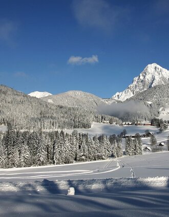 Märchenweg auf den Rittisberg | Tourismusverband Schladming-Dachstein | © Erlebnisregion Schladming-Dachstein