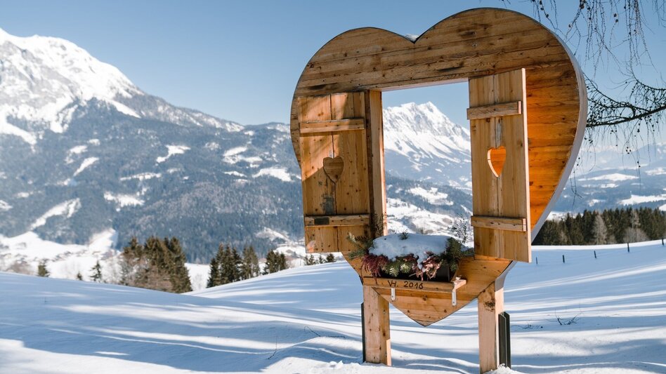 Snowshoe walking Snow shoe hike through the tree horoscope trail (Baumhoroskopweg) - Touren-Impression #2.2 | © Erlebnisregion Schladming-Dachstein