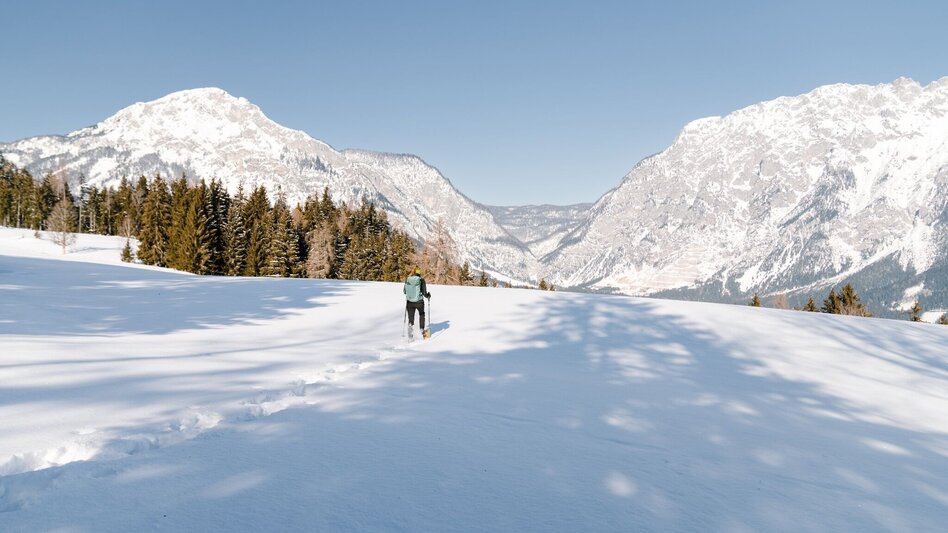 Snowshoe walking Snow shoe hike through the tree horoscope trail (Baumhoroskopweg) - Touren-Impression #2.3 | © Erlebnisregion Schladming-Dachstein