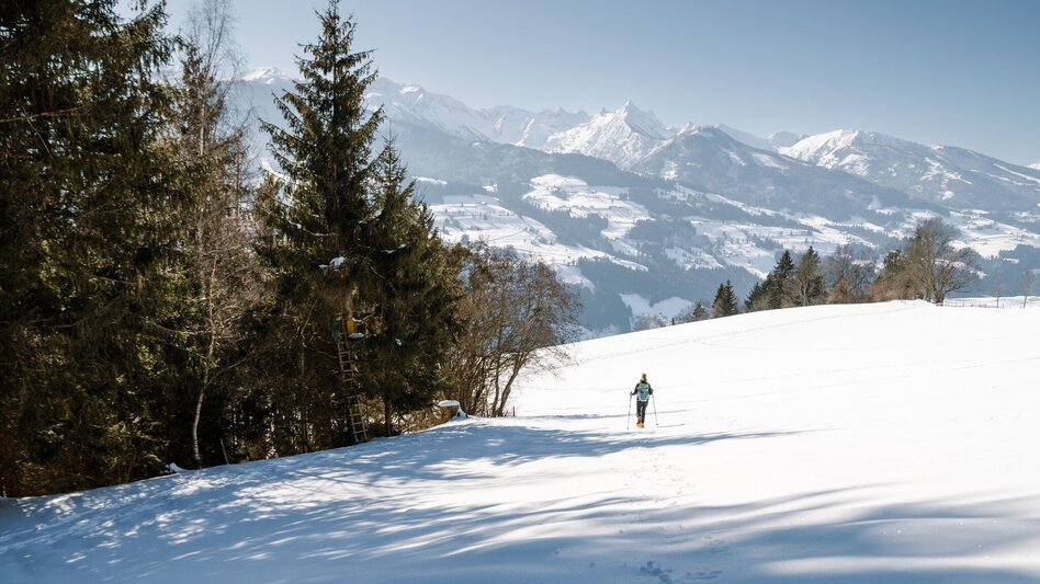Snowshoe walking Snow shoe hike through the tree horoscope trail (Baumhoroskopweg) - Touren-Impression #2.4 | © Erlebnisregion Schladming-Dachstein