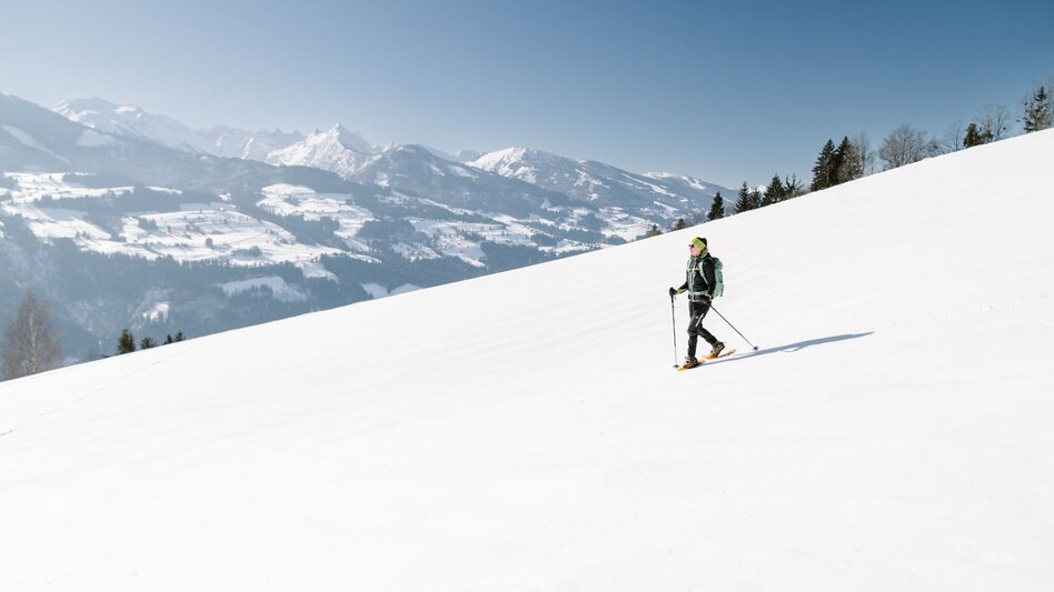 Snowshoe walking Snow shoe hike through the tree horoscope trail (Baumhoroskopweg) - Touren-Impression #2.5 | © Erlebnisregion Schladming-Dachstein
