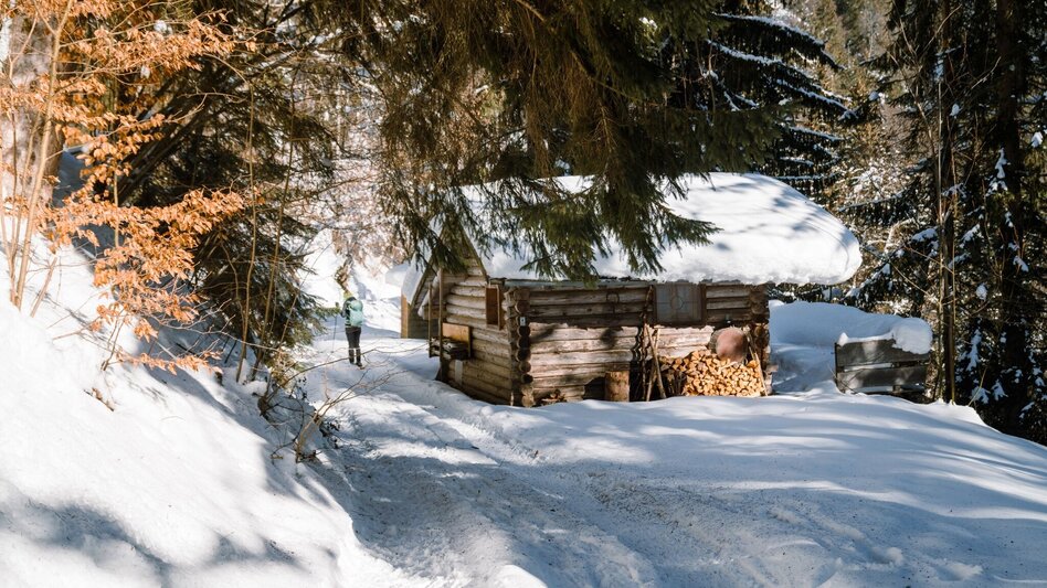 Snowshoe walking Snow shoe hike through the tree horoscope trail (Baumhoroskopweg) - Touren-Impression #2.6 | © Erlebnisregion Schladming-Dachstein