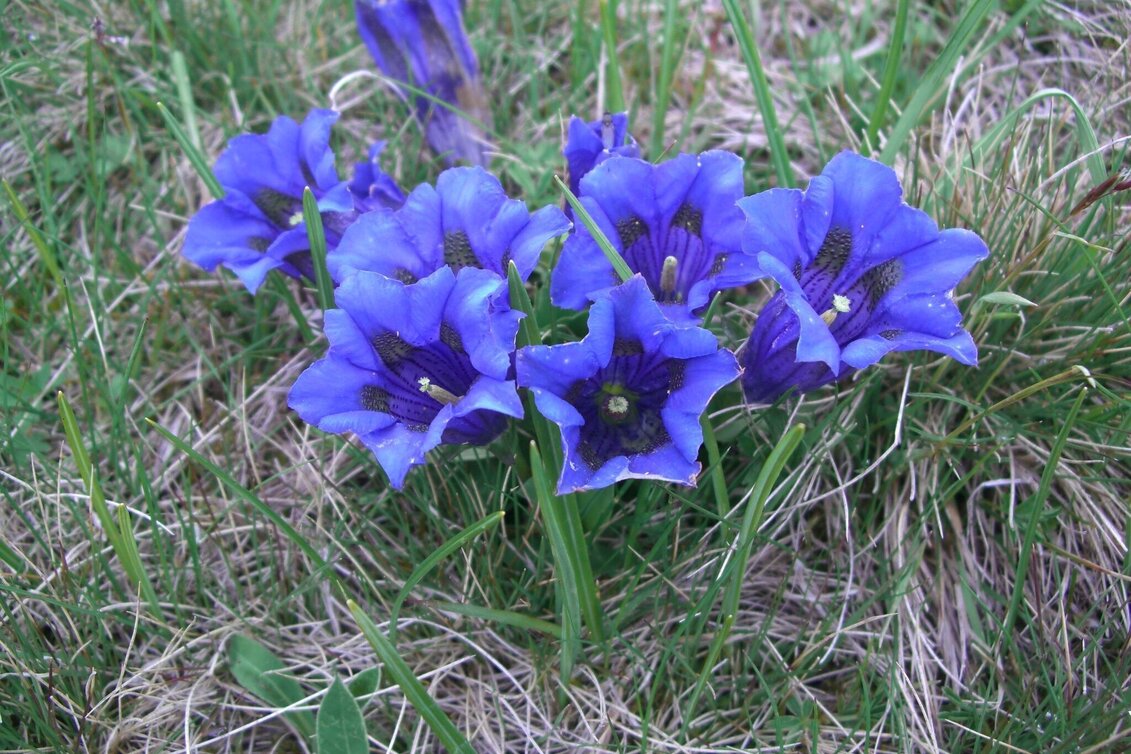 Wanderung Bärofenweg - Touren-Impression #1 | © TV Südsteiermark
