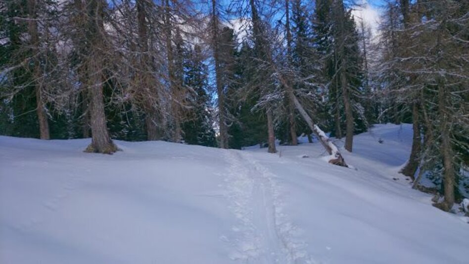 Skitour Skitour Stoderzinken - Touren-Impression #2.3 | © Erlebnisregion Schladming-Dachstein