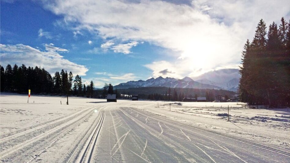 Ski nordic skating Dachstein Loop Trail - Touren-Impression #2.2 | © Tourismusverband Ramsau am Dachstein