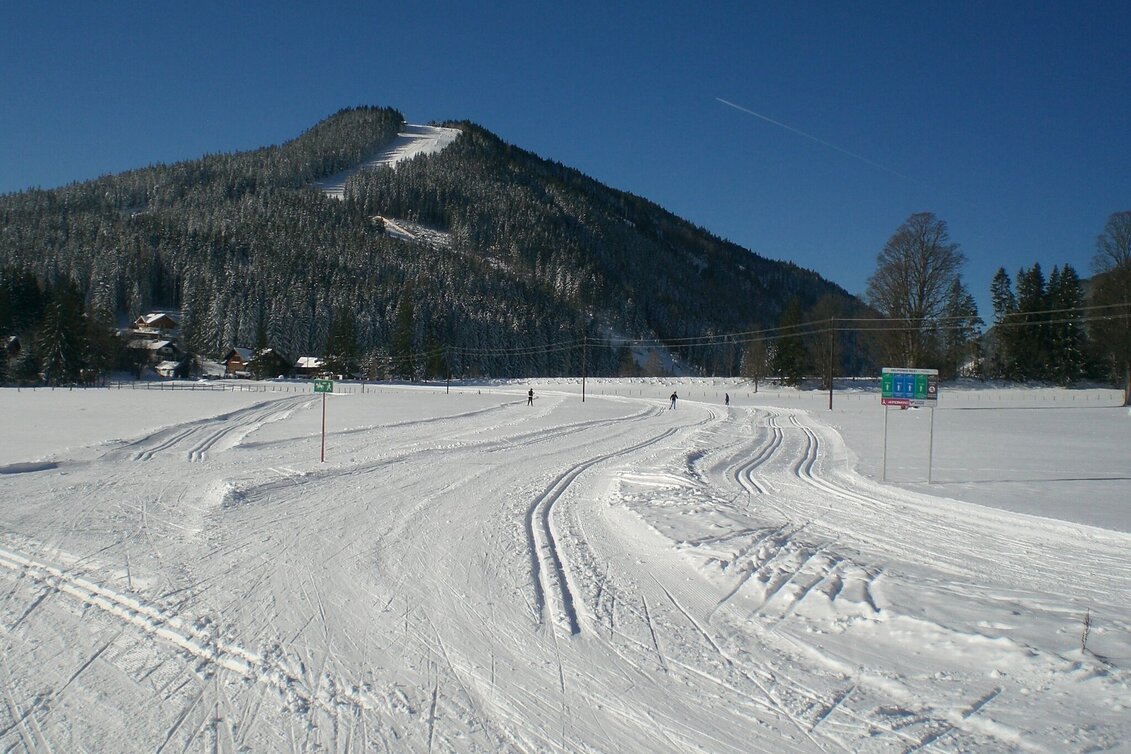 Ski nordic skating Dachstein Loop Trail - Touren-Impression #1 | © Erlebnisregion Schladming-Dachstein