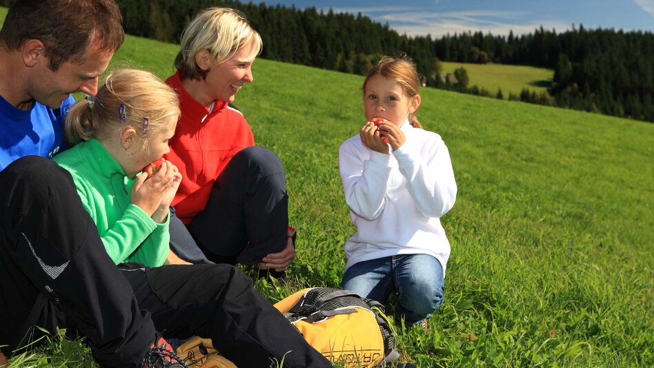 Wanderung Quer durch das Joglland - Touren-Impression #2.1 | © Oststeiermark Tourismus