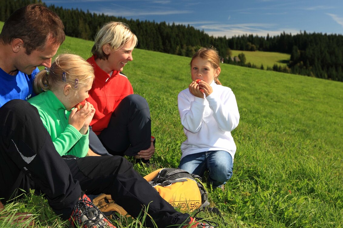 Wanderung Quer durch das Joglland - Touren-Impression #1 | © Oststeiermark Tourismus