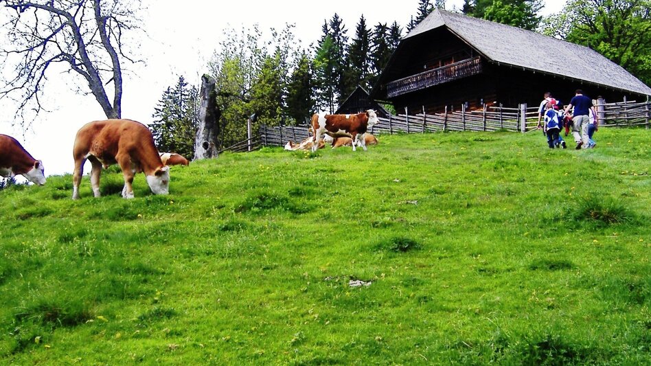 Hiking route Christmetten Circuit, St. Kathrein am Hauenstein - Touren-Impression #2.4 | © unbekannt