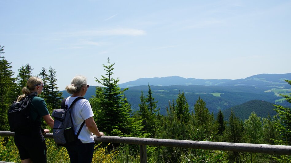 Wanderung Romai Rundwanderung, Waldbach-Mönichwald - Touren-Impression #2.4