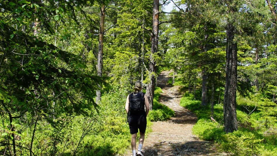 Wanderung Romai Rundwanderung, Waldbach-Mönichwald - Touren-Impression #2.7