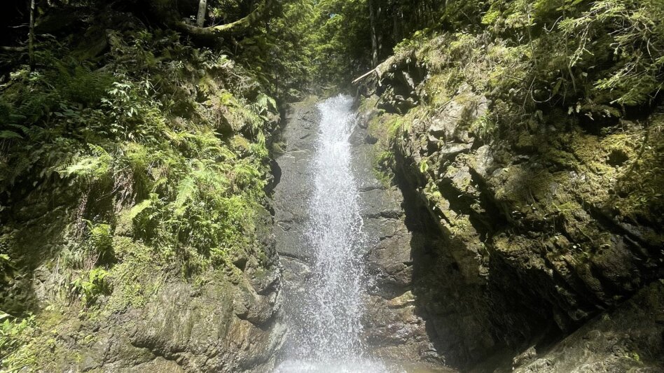 Wanderung Romai Rundwanderung, Waldbach-Mönichwald - Touren-Impression #2.8