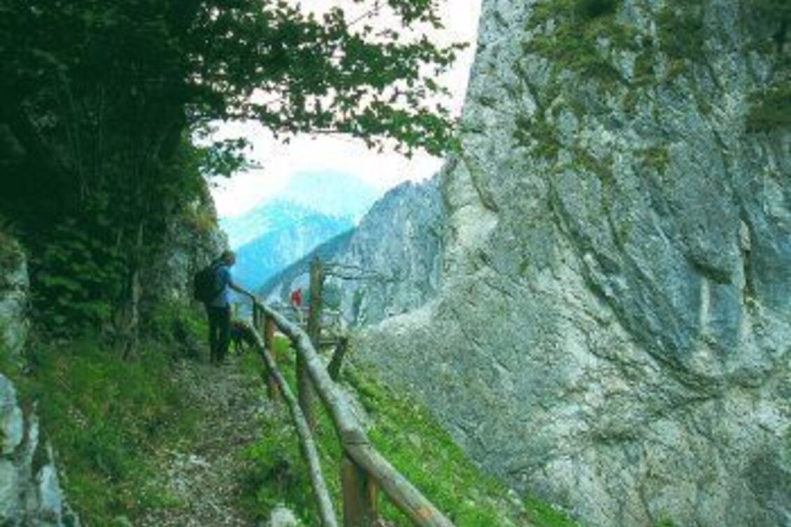 Themen- und Lehrpfad Bibelweg/Bergsteigerfriedhof Johnsbach - Touren-Impression #1 | © Gesäuse - Admont