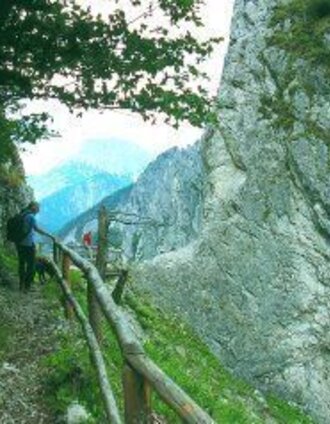 bibelweg/bergsteigerfriedhof johnsbach_img_1190745 | © Gesäuse - Admont