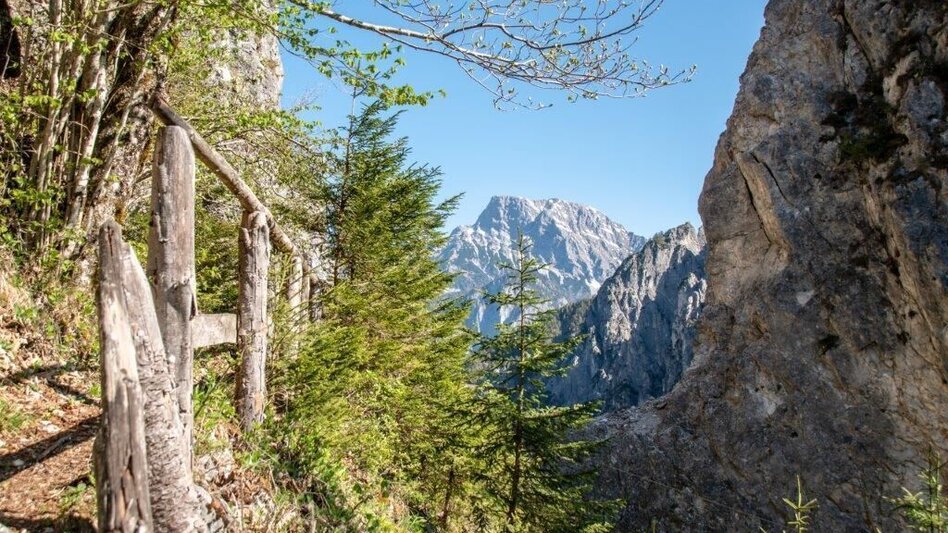 Themen- und Lehrpfad Bibelweg/Bergsteigerfriedhof Johnsbach - Touren-Impression #2.5 | © TV Gesäuse