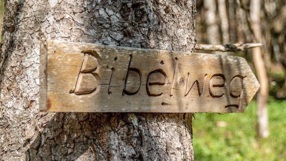 Themen- und Lehrpfad Bibelweg/Bergsteigerfriedhof Johnsbach - Touren-Impression #2.7 | © TV Gesäuse
