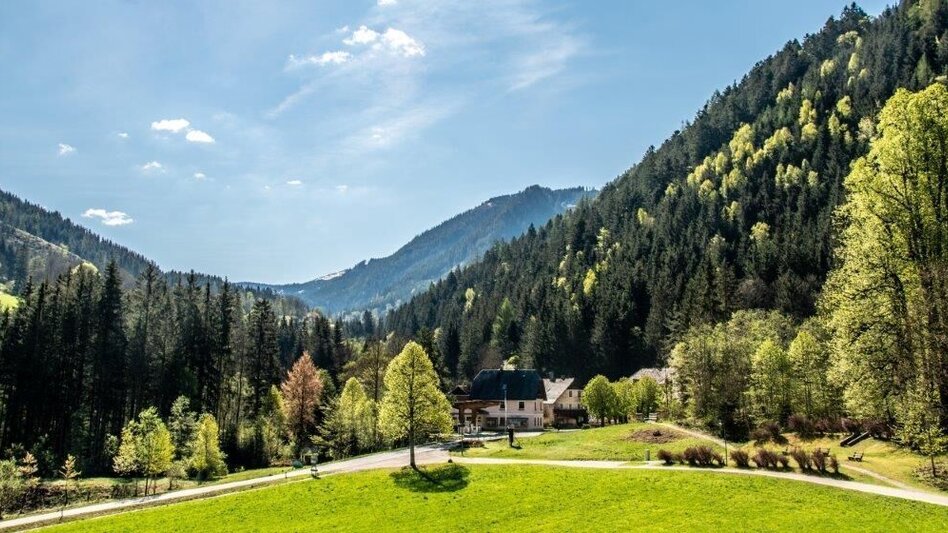 Themen- und Lehrpfad Bibelweg/Bergsteigerfriedhof Johnsbach - Touren-Impression #2.11 | © TV Gesäuse