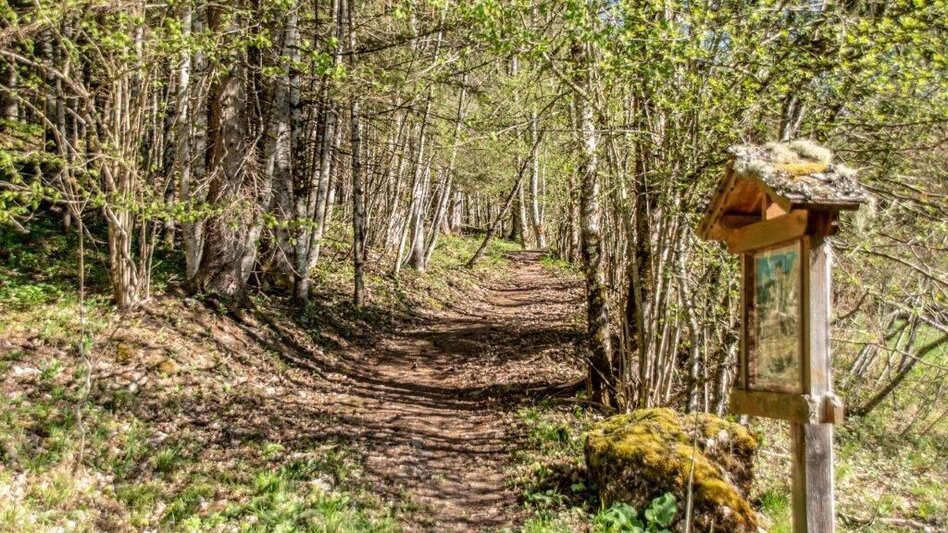 Themen- und Lehrpfad Bibelweg/Bergsteigerfriedhof Johnsbach - Touren-Impression #2.3 | © TV Gesäuse