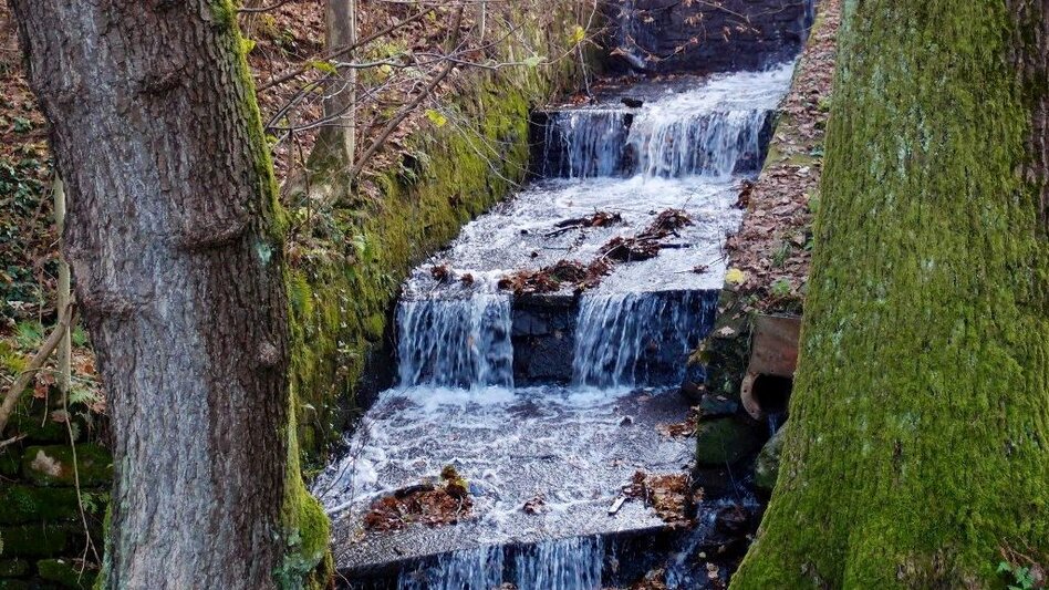 Nordic Walking Voitsberger Gesundheitsweg 1 - Touren-Impression #2.5 | © Region Graz