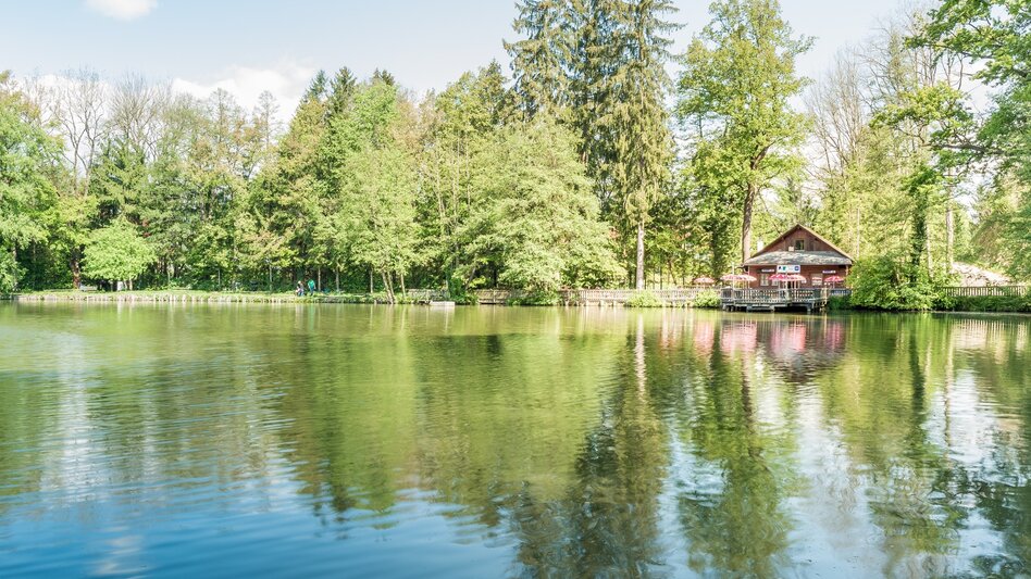 Nordic Walking Voitsberger Gesundheitsweg 1 - Touren-Impression #2.7 | © Stadtgemeinde Voitsberg
