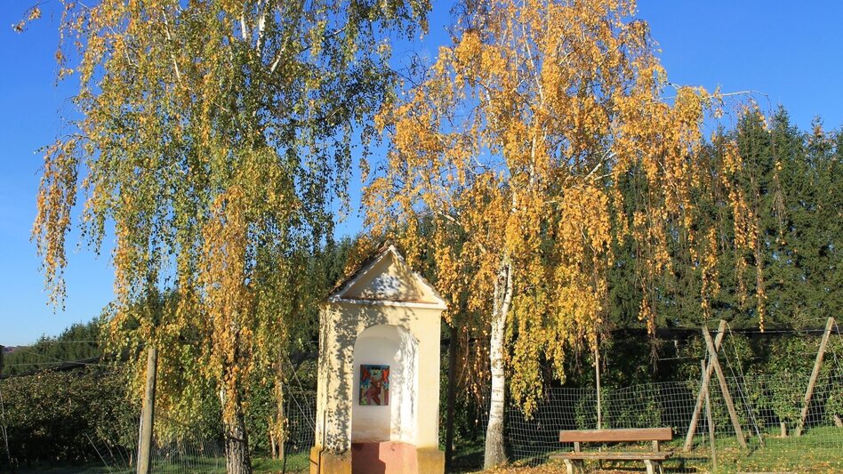 Theme path Breiteggerweg - Touren-Impression #2.4 | © (c) Martina Steininger