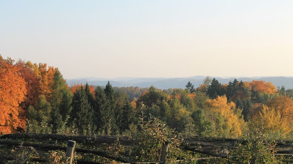 Theme path Breiteggerweg - Touren-Impression #2.5 | © (c) Martina Steininger