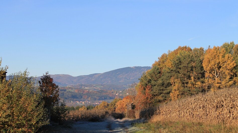 Theme path Breiteggerweg - Touren-Impression #2.6 | © (c) Martina Steininger