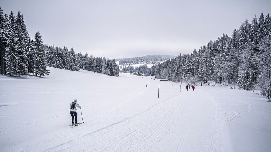 Langlauf Skating Halserloipe - Touren-Impression #2.4 | © Erlebnisregion Schladming-Dachstein