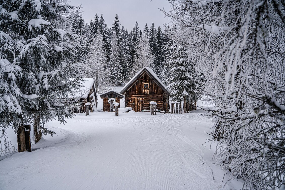 Ski-nordic-classic Rittis Trail - Touren-Impression #1 | © Erlebnisregion Schladming-Dachstein
