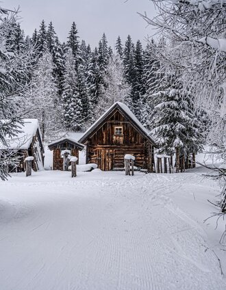 Auf halbem Weg zwischen Greimelbacher und Rösteralm | Gerhard Pilz | © Erlebnisregion Schladming-Dachstein