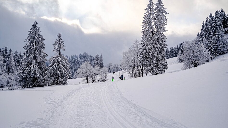 Ski-nordic-classic Rittis Trail - Touren-Impression #2.2 | © Erlebnisregion Schladming-Dachstein