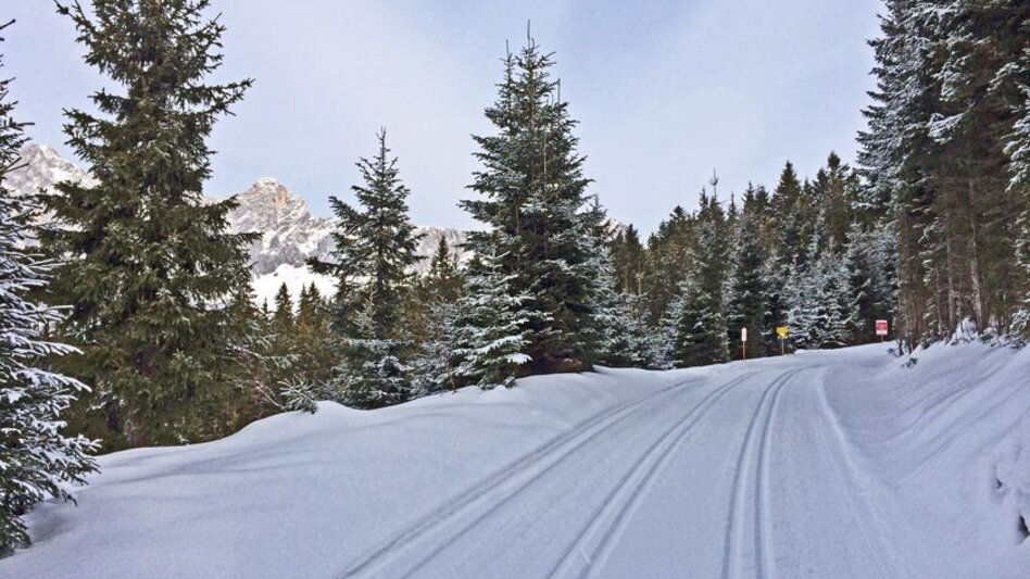 Ski-nordic-classic Rittis Trail - Touren-Impression #2.3 | © Erlebnisregion Schladming-Dachstein