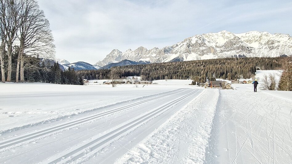 Langlauf klassisch Vorbergloipe - Touren-Impression #2.5 | © Erlebnisregion Schladming-Dachstein